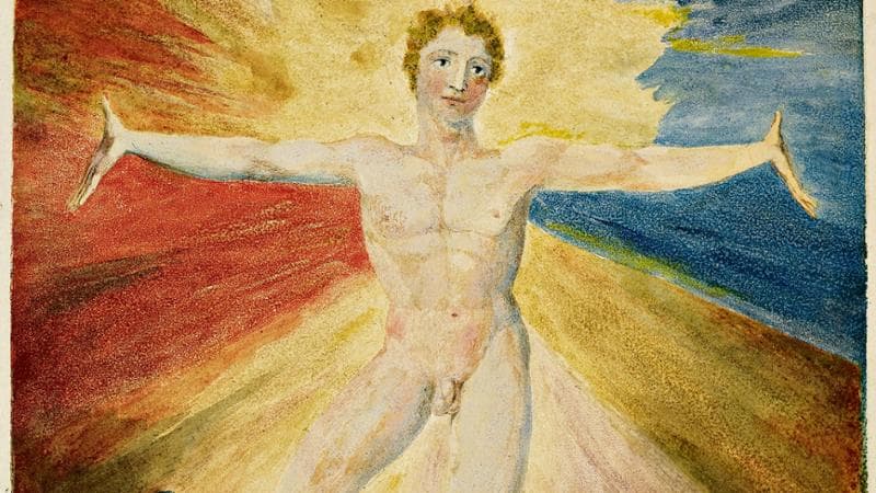 Albion rose, by William Blake