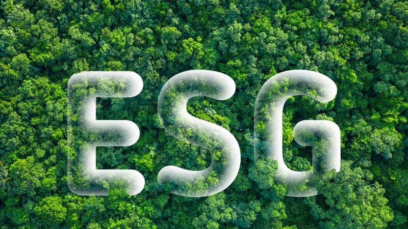 Investimenti Esg al bivio