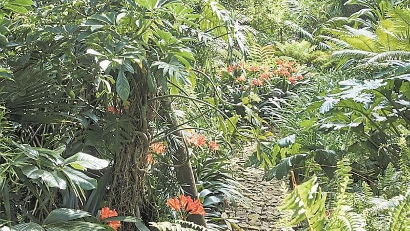La foto tratta dal libro "Arabesco" di Umberto Pasti è di Ngoc Minh Ngo