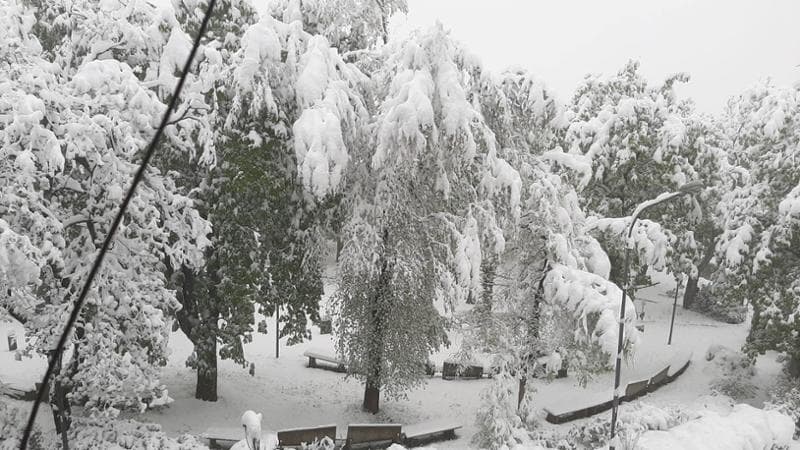 Previsioni meteo, tre giorni di pieno inverno ma dal 25 aprile torna la primavera
