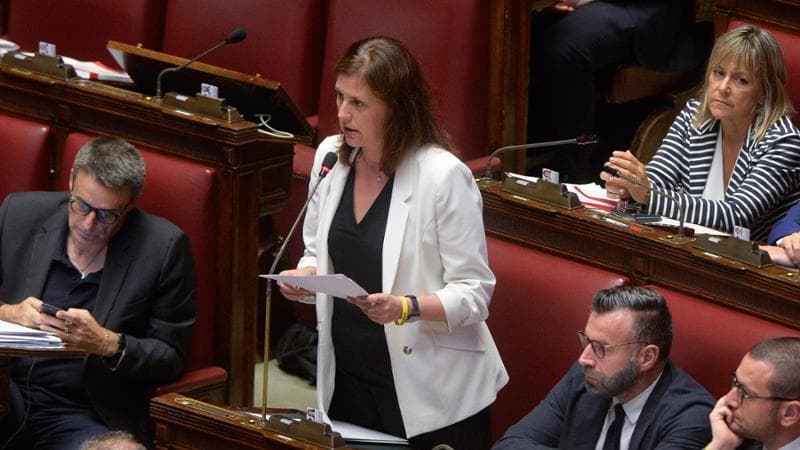 Braga: “Schlein nel simbolo era una scommessa per ottenere il massimo risultato, non una mossa personalistica”