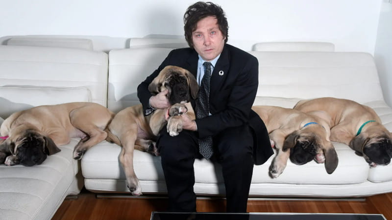 Argentina, la domanda che scuote il Paese: “Quanti sono i cani di Milei?”