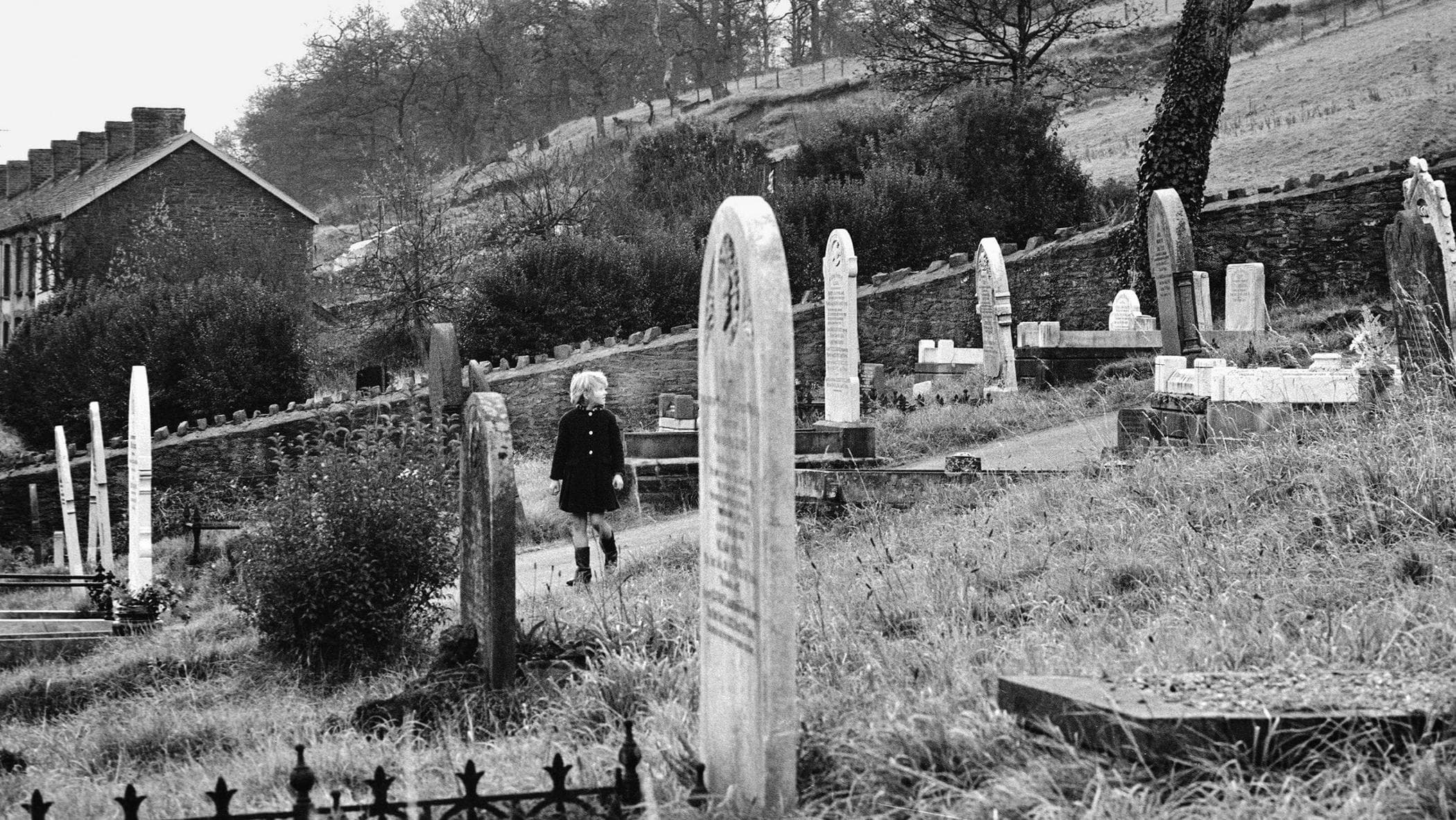 Libri da leggere. “Il ragazzo del cimitero accanto”, il romanzo di Ron ...
