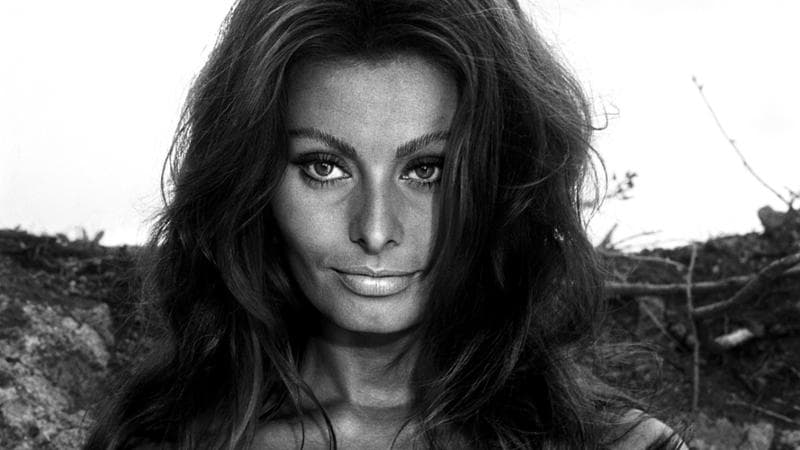 Sophia Loren e la lettera ritrovata: Mario Martone racconta la lezione della diva