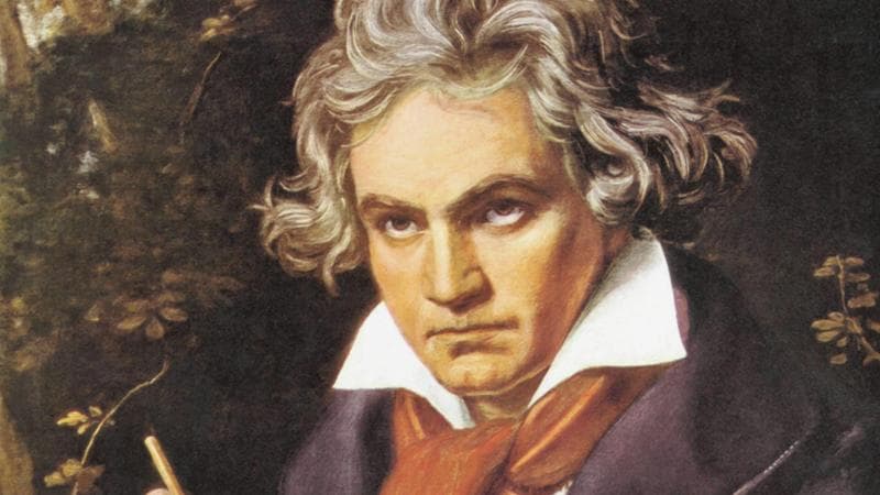 Beethoven sordo? Colpa del vino, la scoperta grazie ai capelli del compositore