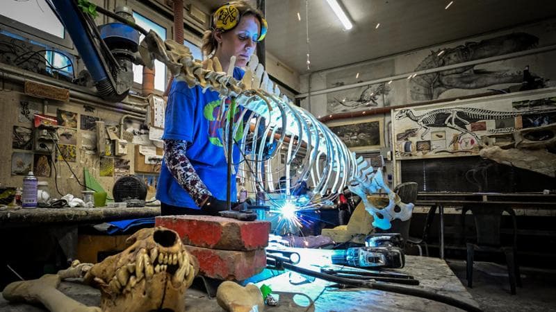 Noah, tecnica specializzata, al lavoro su una rara iena delle caverne.  In primo piano una testa di mosasauro. (Nicola Marfisi/Agf)