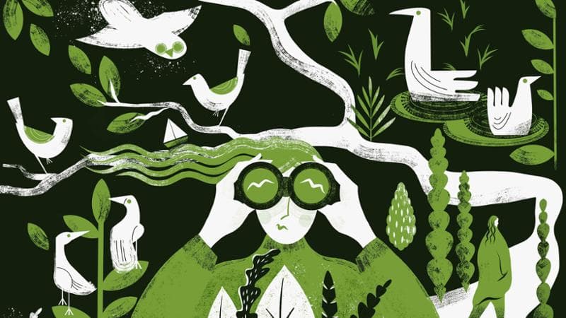 Natura. Andiamo a lezione di complessità
