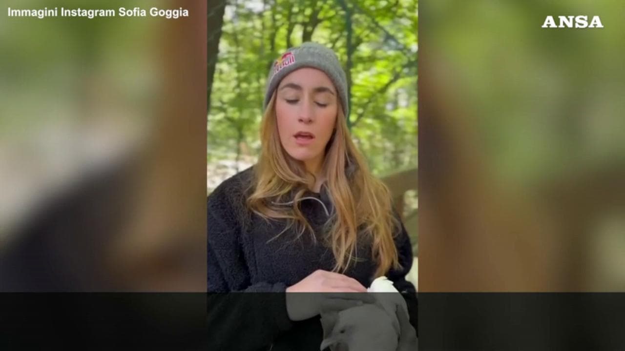 Sofia Goggia imita Francesca Fagnani: "Lei che belva si sente? Le sue galline sono radical chic?"
