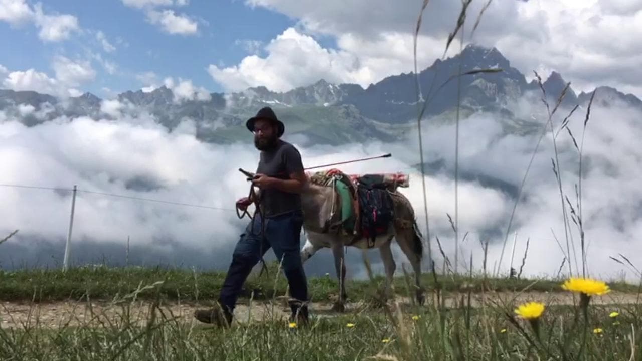 Ostana, una passeggiata con l'asino: il "Trekking con Ulisse" tra le bellezze naturali della montagna