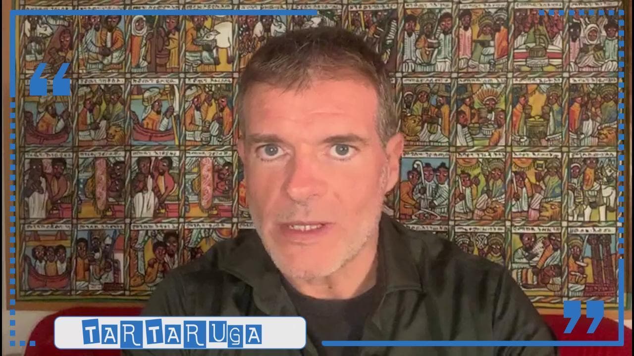 Stefano Massini, "Parole in corso": da dove deriva la parola "tartaruga"