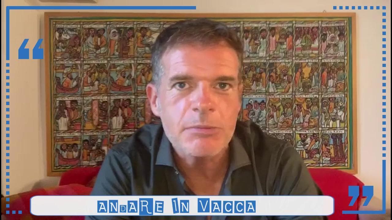 Stefano Massini, "Parole in corso": i bovini non c'entrano con "Andare in vacca"