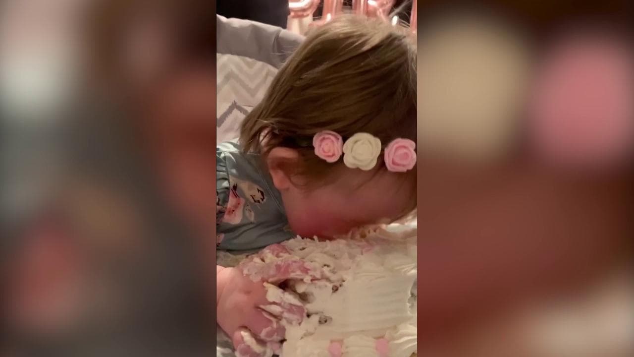 La bimba compie un anno e le danno una torta: non riesce a smettere di mangiarla