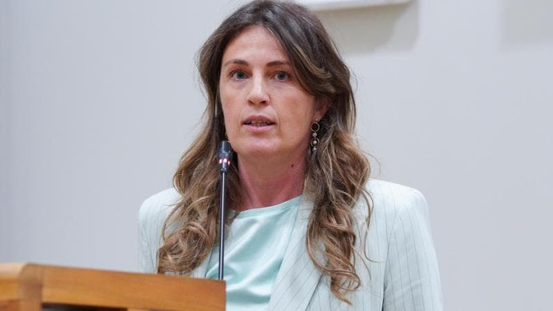 Chiara Gribaudo, vicepresidente del Pd