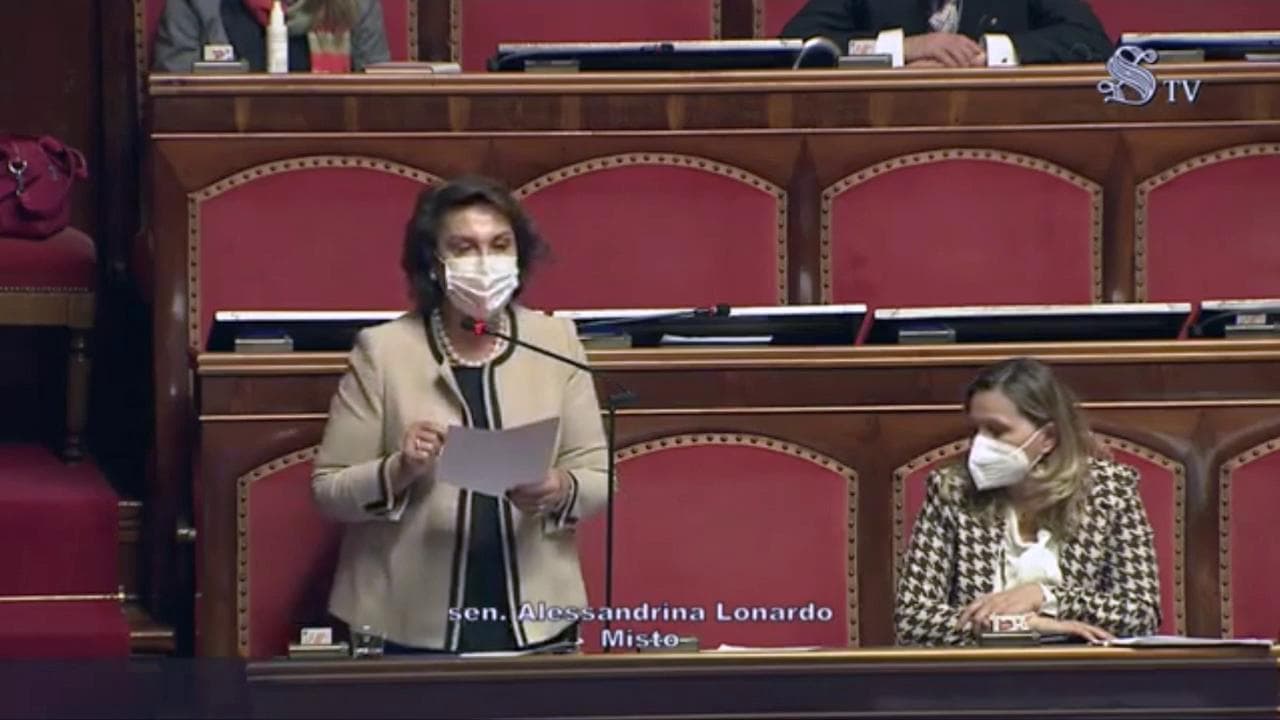 Crisi di governo, Lady Mastella al Senato: "Mi sento costruttrice e responsabile, voterò per il governo Conte"