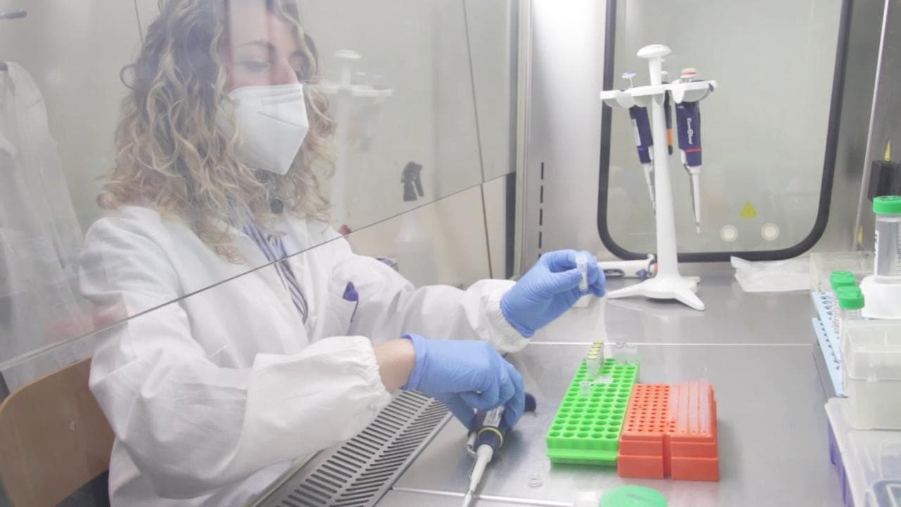 Covid, l'azienda biotech che stana le varianti: "La nostra corsa per produrre test sempre più precisi"