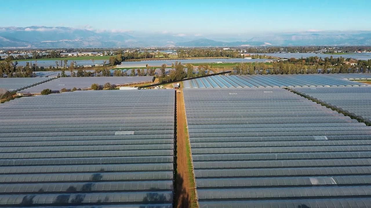 Storie di solidarietà: gli operatori che liberano dalla schiavitù i braccianti agricoli