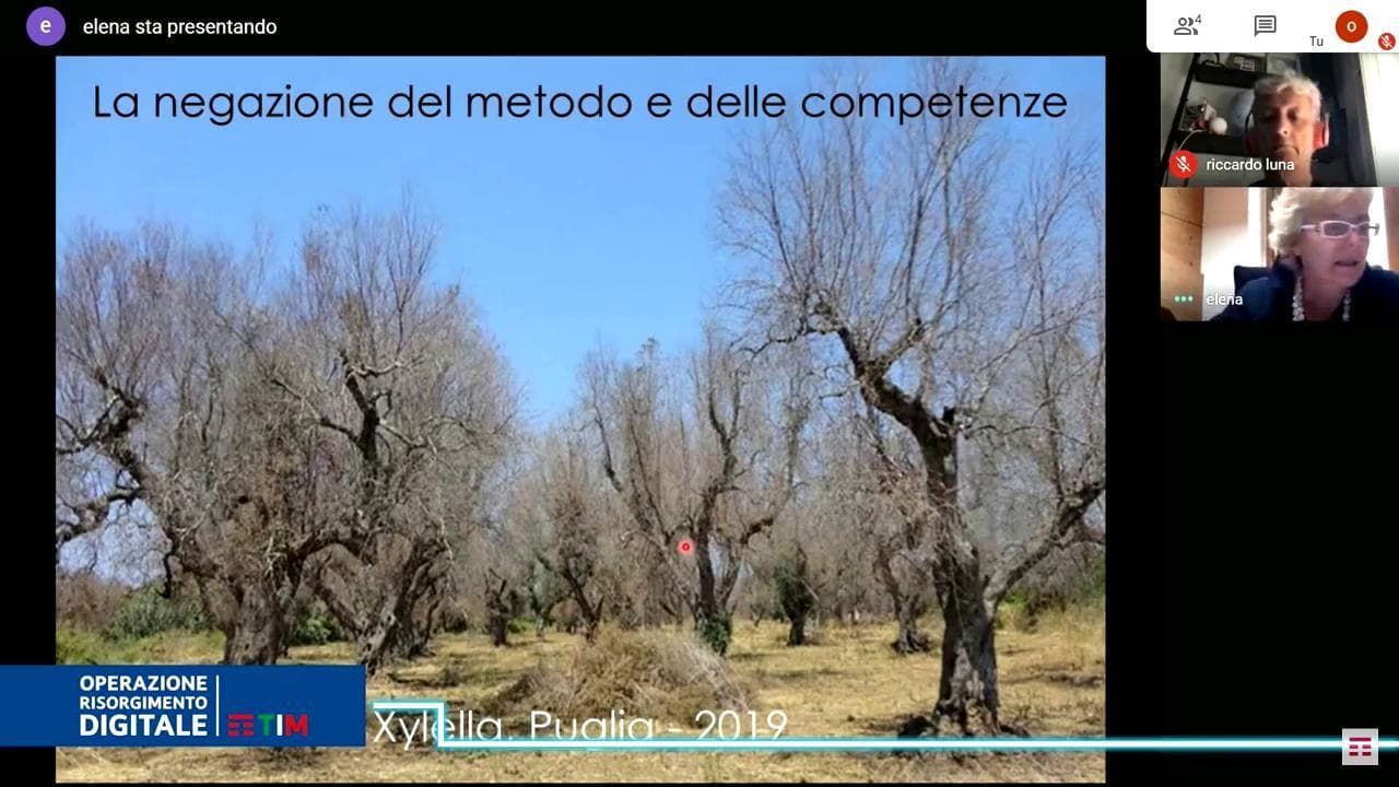 Risorgimento digitale, Cattaneo: "Da Stamina a Xylella: quando negare le competenze comporta disastri"