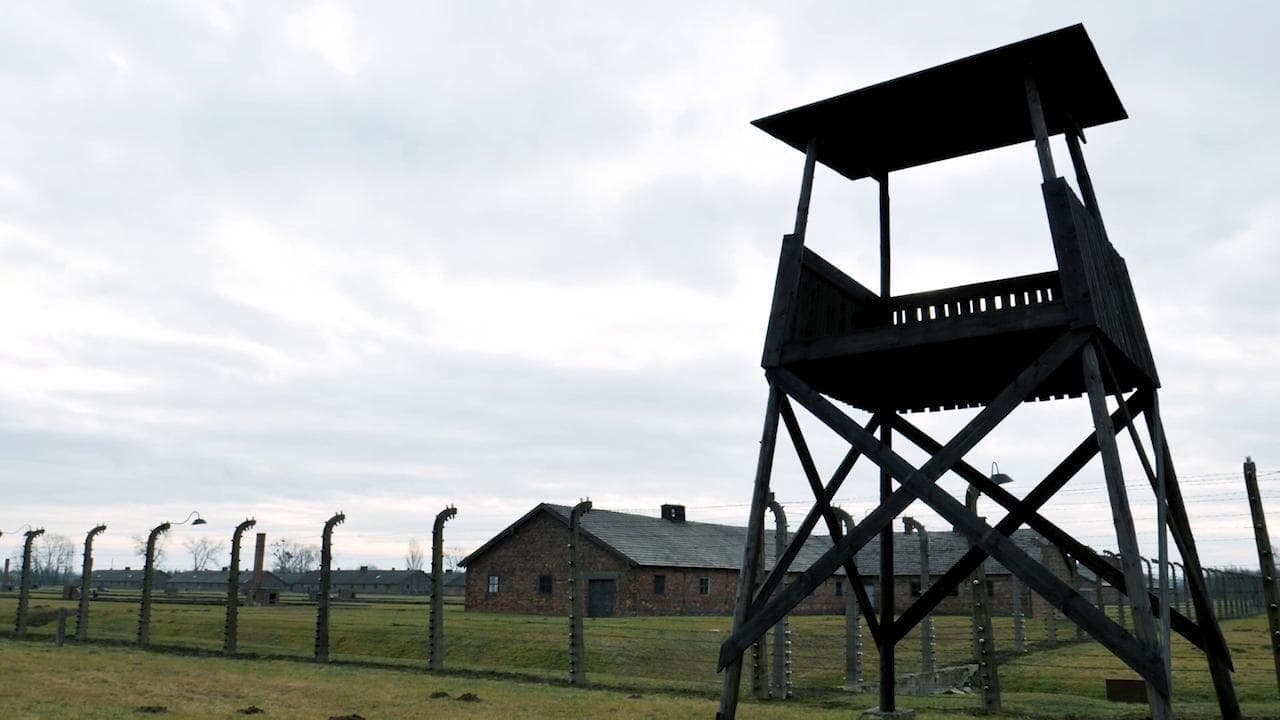 Giornata Memoria, viaggio ad Auschwitz e Birkenau. Tatiana Bucci: "Qui ho scoperto di essere ebrea". Oleg Mandic: "Io, l'ultimo bambino ad uscire vivo"