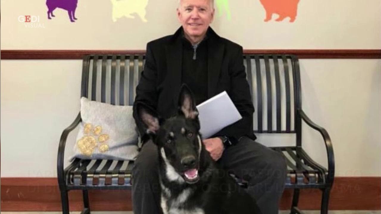 Tutti i cani dei presidenti: dal canile alla Casa Bianca quella di Major è la storia più bella