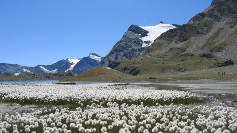 Colle Rosset (foto Franco Ferrero)