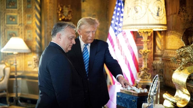La Newsletter. Le elezioni europee viste dagli Usa: per chi tifano Biden e Trump
