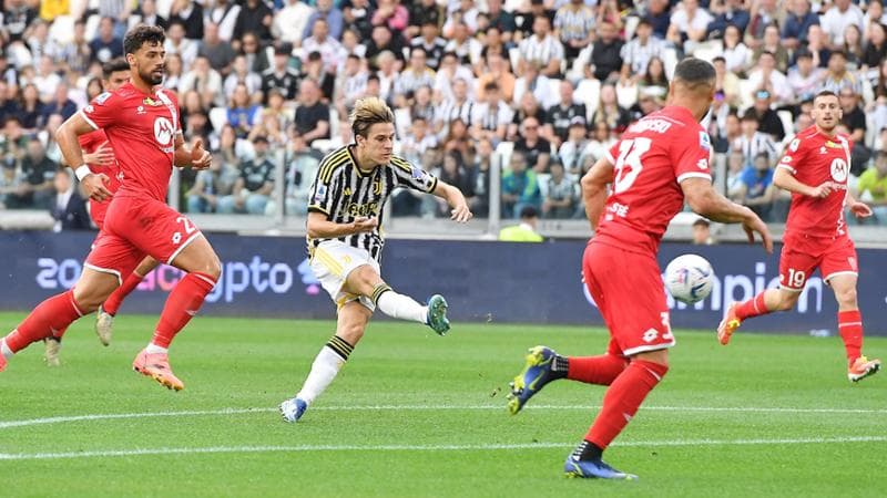Fagioli in azione