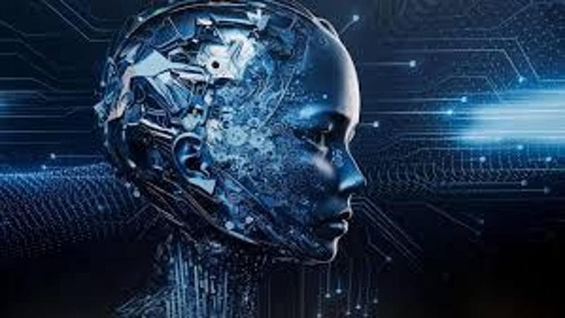 Mangiare sassi, colla sulla pizza e benzina negli spaghetti: fanno discutere gli scivoloni dell’IA di Google