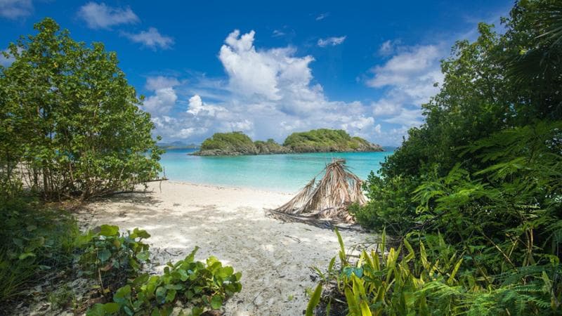 Trunk Bay, n. 1 (Isole Vergini Usa) - courtesy World's 50 Best Beaches