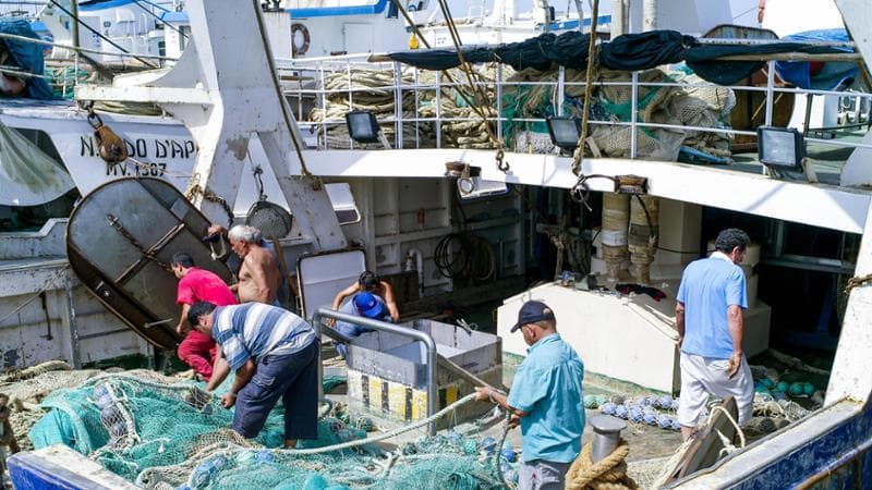 Quote tonno, spiagge e micro-finanziamenti ‘a pioggia’: i ministri di FdI fanno il pieno di marchette elettorali