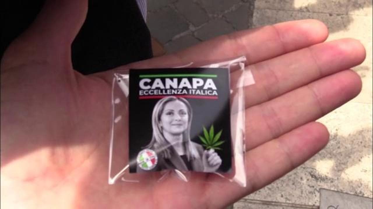 Montecitorio, bustine di cannabis light con il volto di Meloni per protestare contro il governo