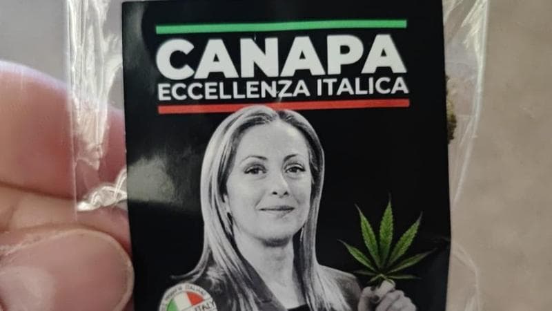 Cannabis light, il governo: “Stop al commercio, è una droga”. E la Lega vuole vietare anche il disegno della pianta