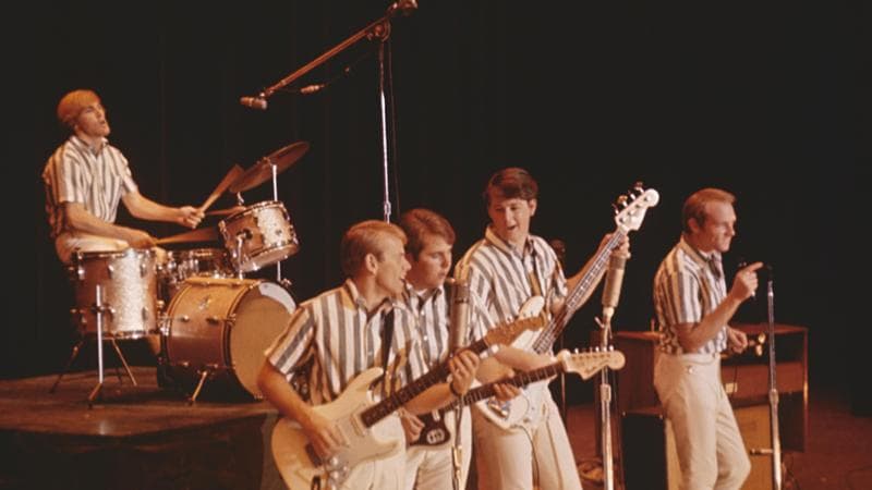 I Beach Boys in uno scatto del 1964
