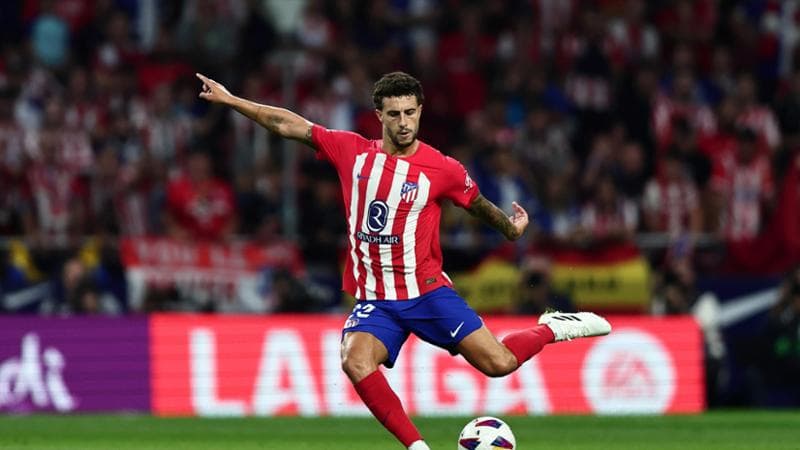 Mario Hermoso