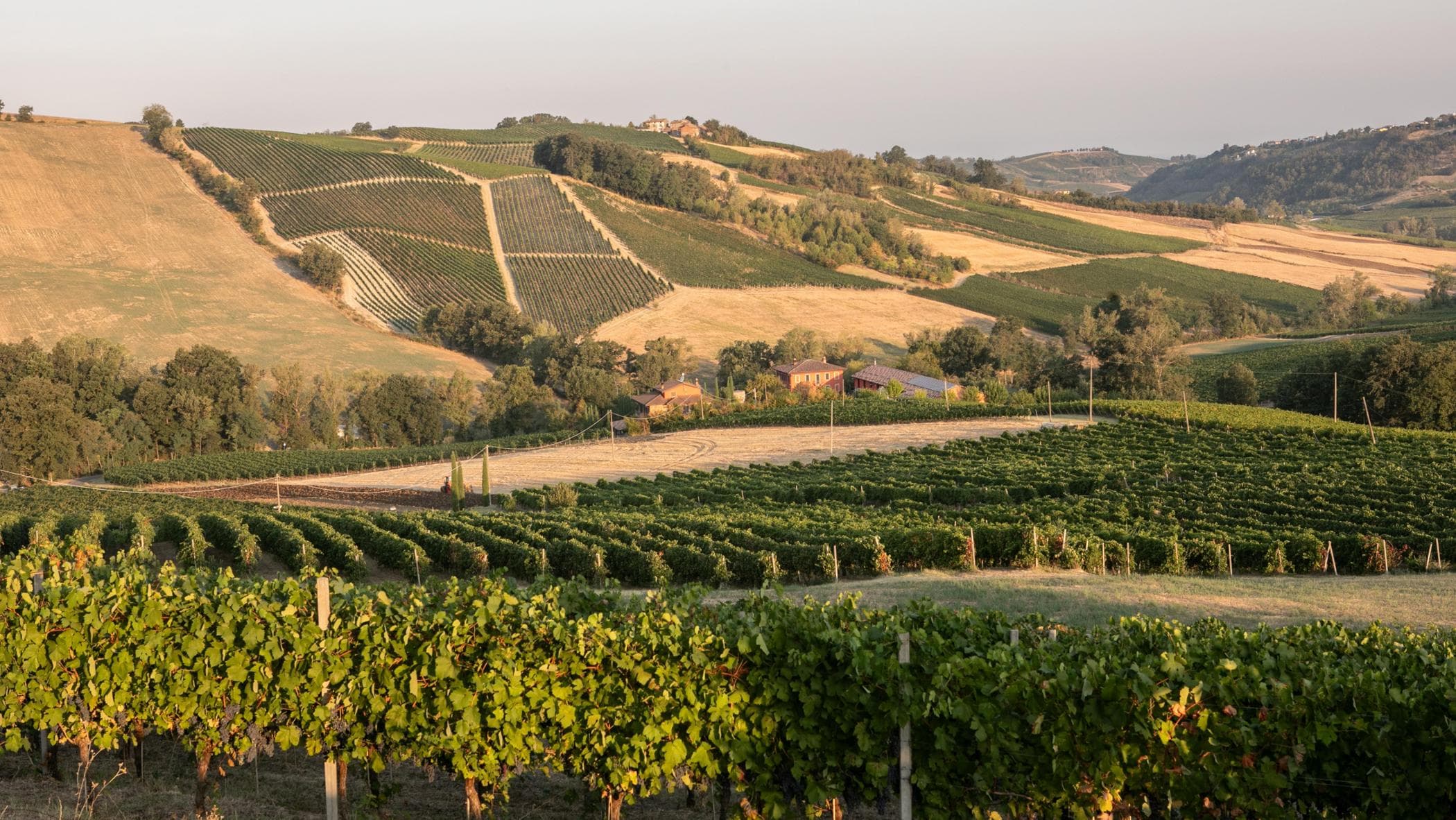 Pinot Noir markasını inşa eden Oltrepò Pavese'den bir kooperatif olan La Genisia