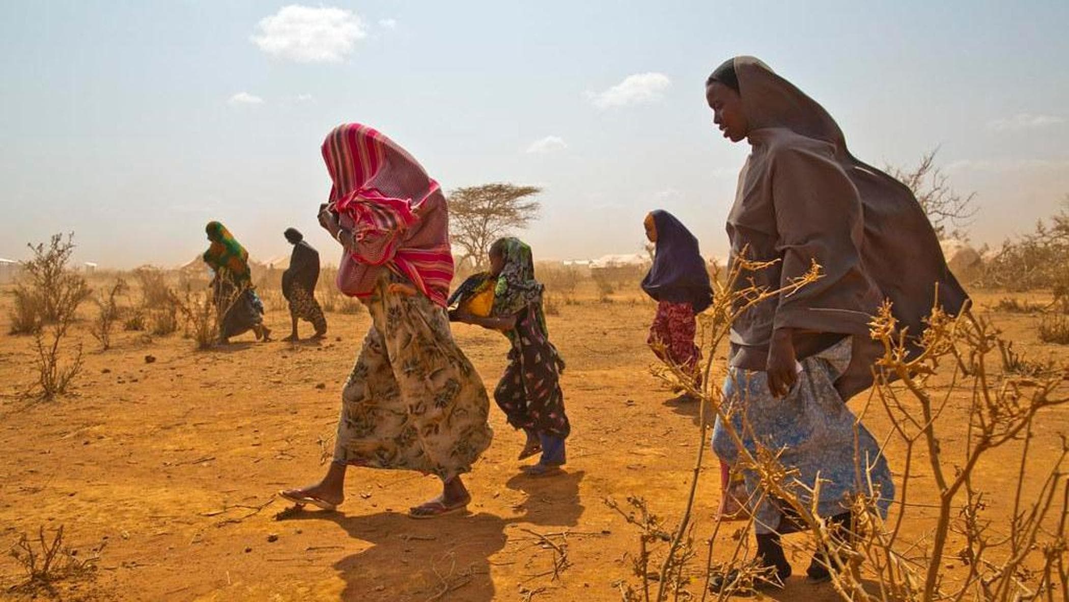 Sahel'de insani kriz açlık, iklim ve çatışmalar arasında ilerliyor: 3,3 milyondan fazla insan yerinden edildi