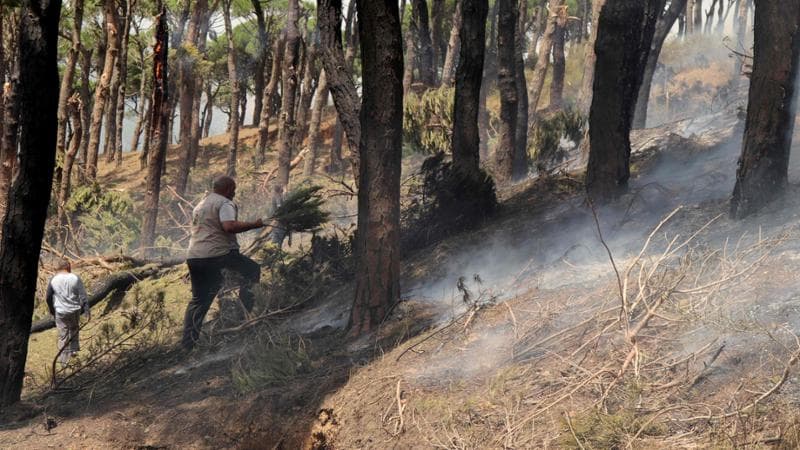 Una catapulta per incendiare i boschi del Libano: l’arma primordiale dei soldati israeliani contro Hezbollah