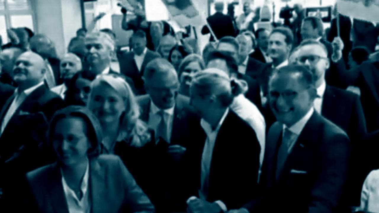 Europee Germania, i dirigenti di AfD esultano dopo gli exit poll