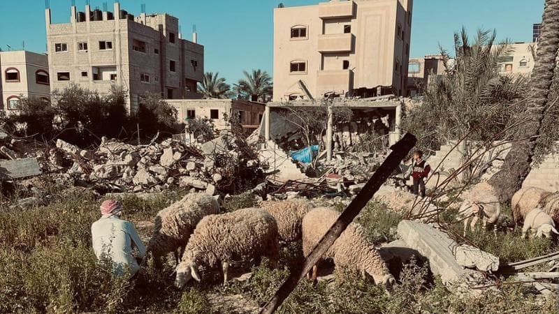 Foto Rita Baroud