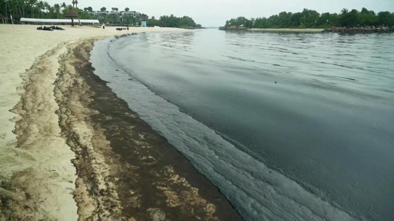 Singapore, petrolio in mare dopo un incidente navale: le spiagge ricoperte dalla marea nera