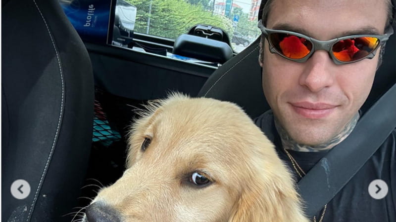 Fedez rompe il silenzio social: le foto con un cane uguale a quello di Chiara Ferragni