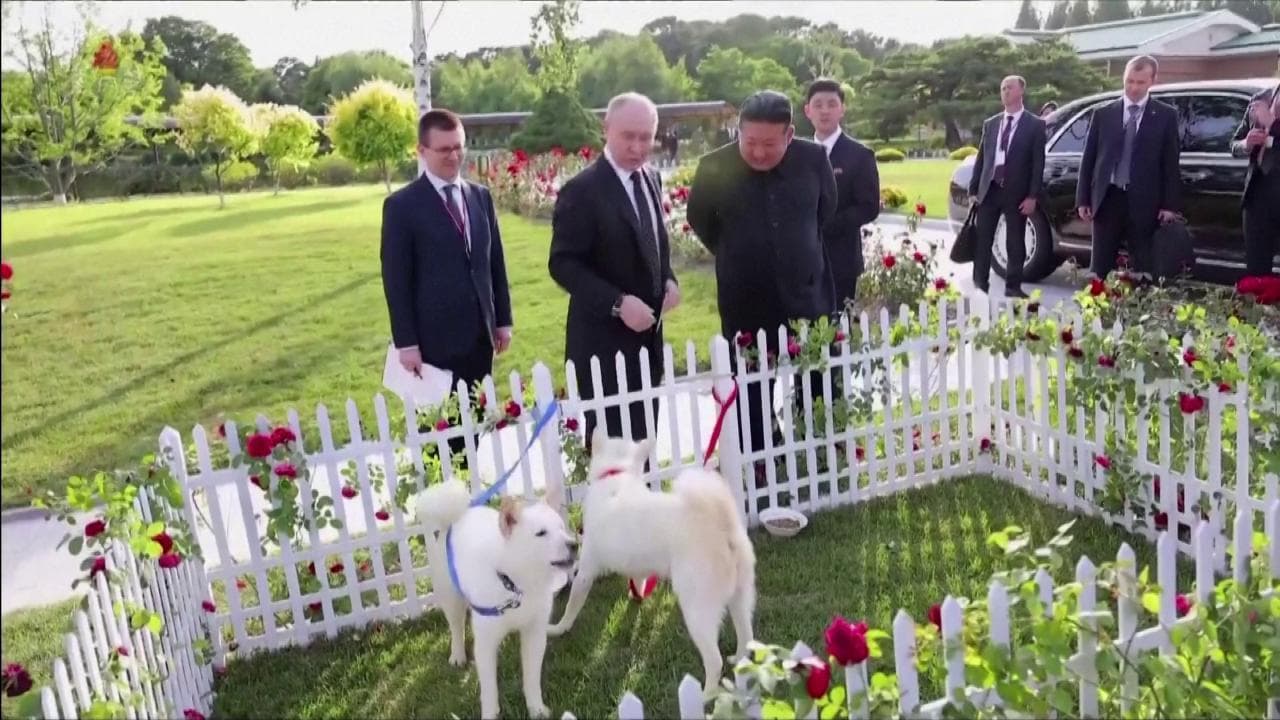 Cani, cavalli, busti, porcellane e limousine: la giornata di regali e risate dei due dittatori