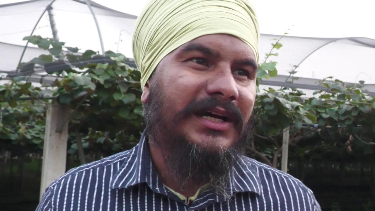 "Satnam potevo essere io". Drogati e sfruttati per pochi euro: così lavorano i braccianti Sikh nell'Agro Pontino