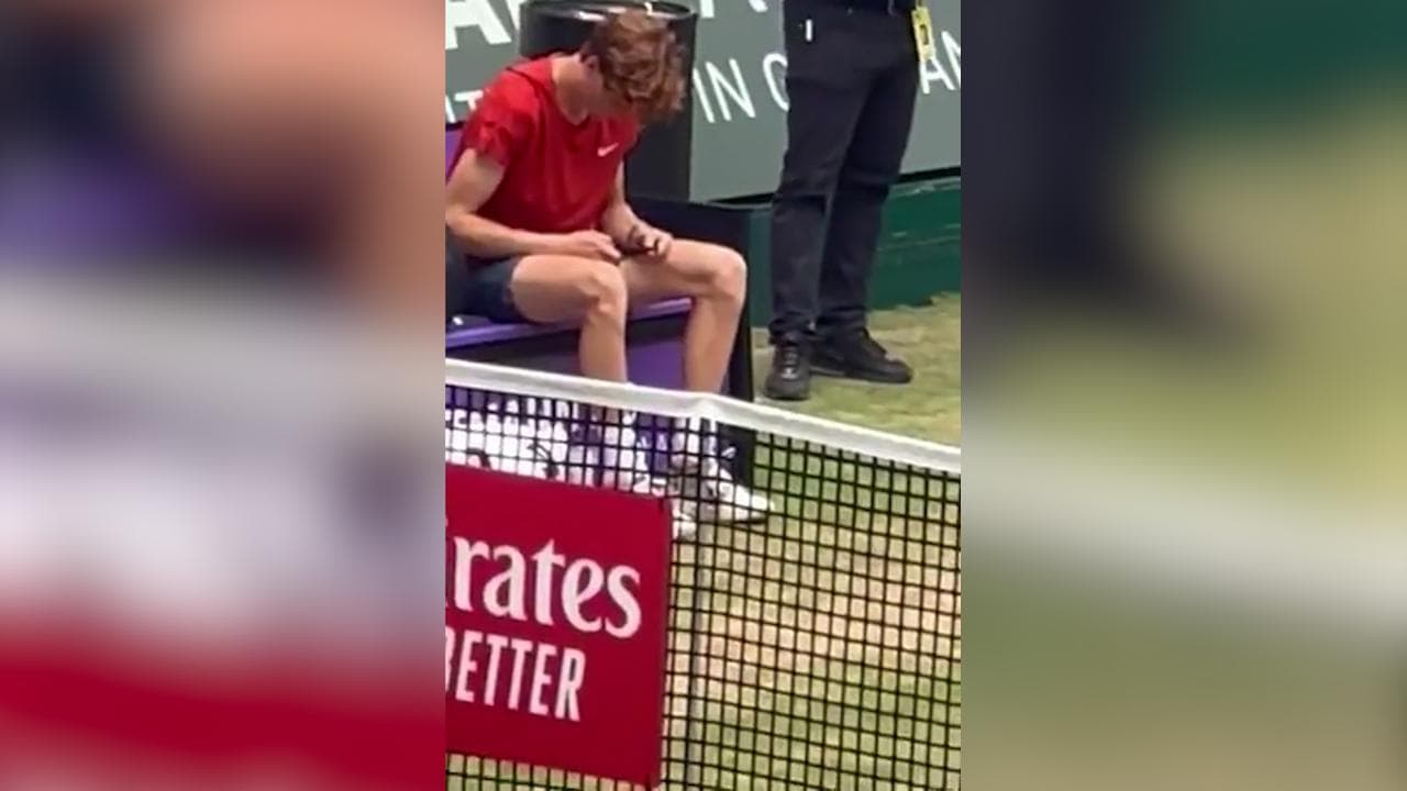 Tennis, Jannik Sinner numero uno innamorato: guardate cosa fa subito dopo la vittoria al torneo di Halle