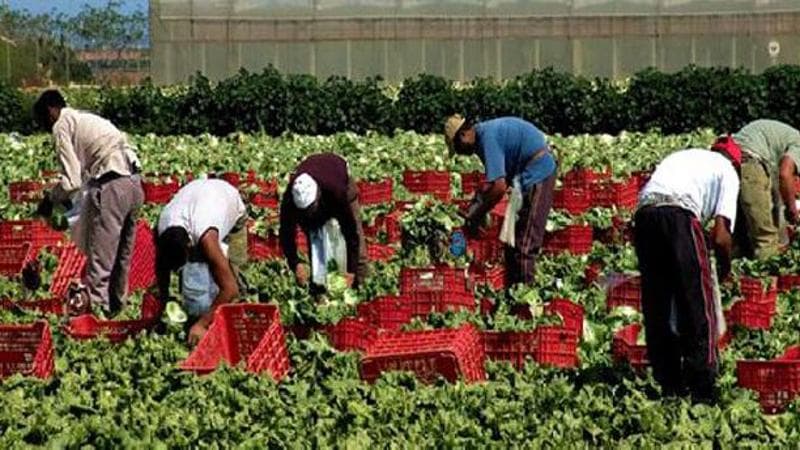 Diaspore: “E’ ora di dire basta a condizioni di lavoro disumane dei lavoratori stranieri ridotti in schiavitù”