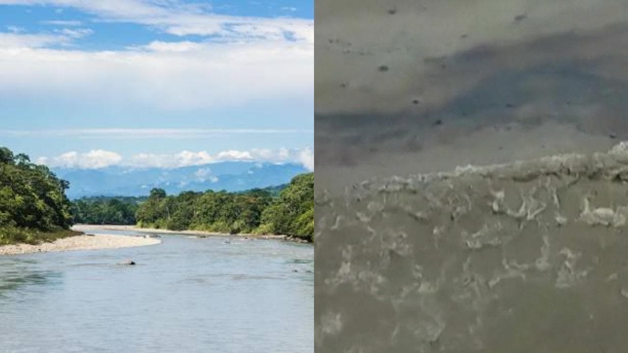 Disastro ambientale in Ecuador: rotto un oleodotto, il petrolio inquina il fiume Napo