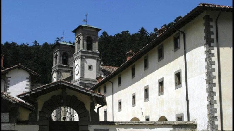 Nell’albero caverna, lo spirito del bosco: l’estate nel Casentino in fuga dal rumore