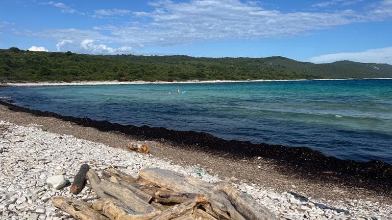 Croazia, Isola Lunga, spiaggia di Sakarun, foto Antonio Calbi