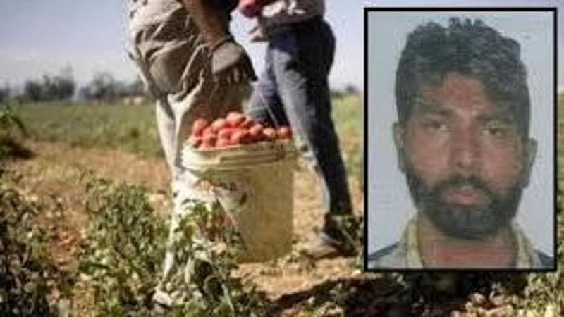 Satnam Singh, 31 anni, morto il 19 giugno scorso dopo che un macchinario agricolo gli ha amputato un braccio nei campi della provincia di Latina