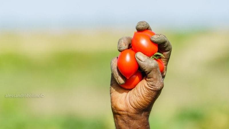Caporali e ghetti nei campi, il governo è rimasto all’anno zero