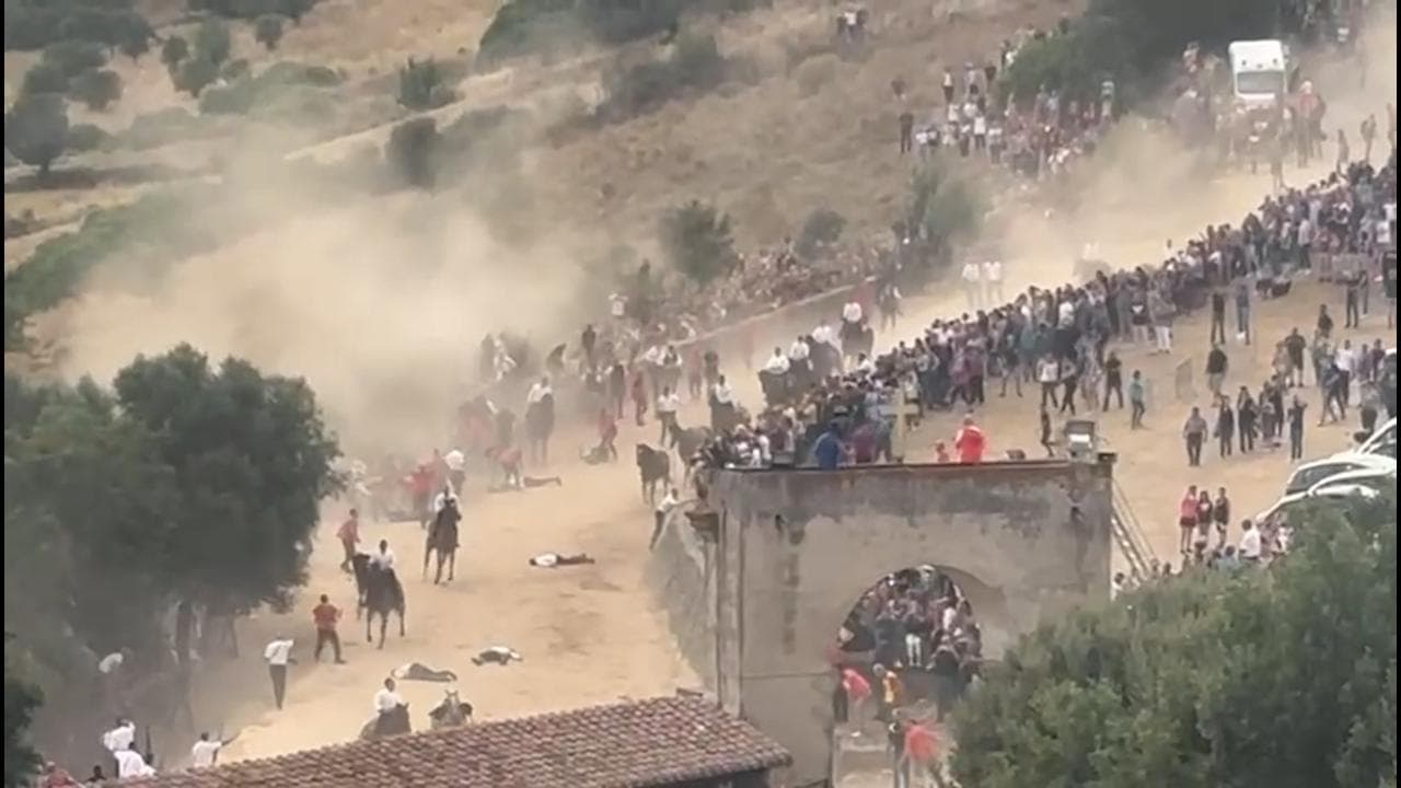 Ardia di San Costantino in provincia di Oristano: due cavalli abbattuti e dieci feriti per una caduta